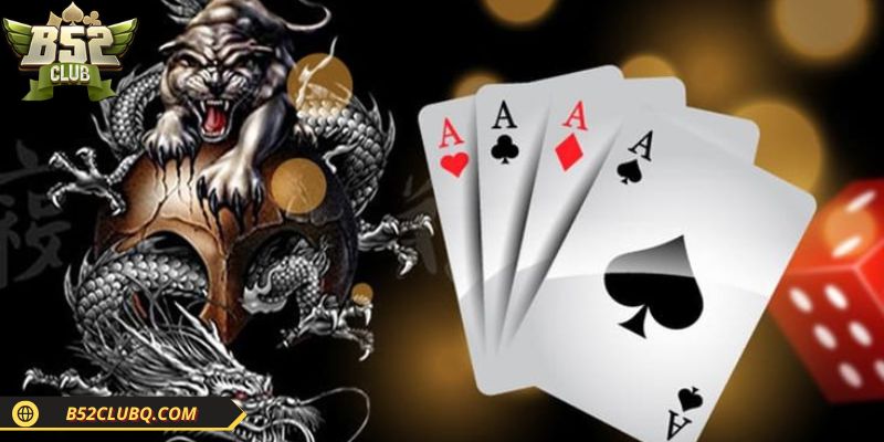 Bí kíp chơi rồng hồ cần áp dụng ngay