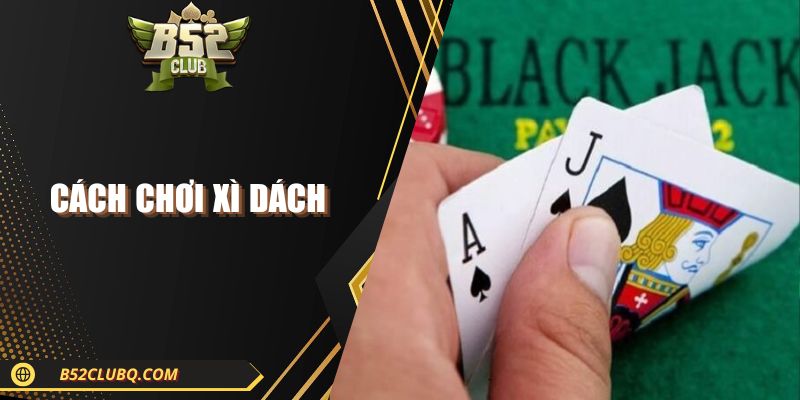 cach choi xi dach Cách Chơi Xì Dách Trực Tuyến Chuẩn Chỉnh Từ A - Z 2025