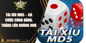 Tài Xỉu MD5 – Cá Cược Công Bằng, Thắng Lớn Không Khó